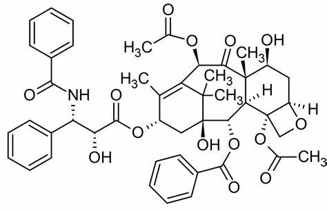 What is the Success Rate of Paclitaxel?