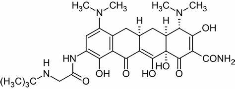 What is Tigecycline used for