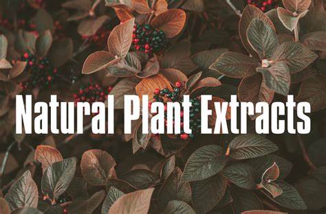 Antimicrobial Agents in Plant Extracts: Mechanisms and Applications