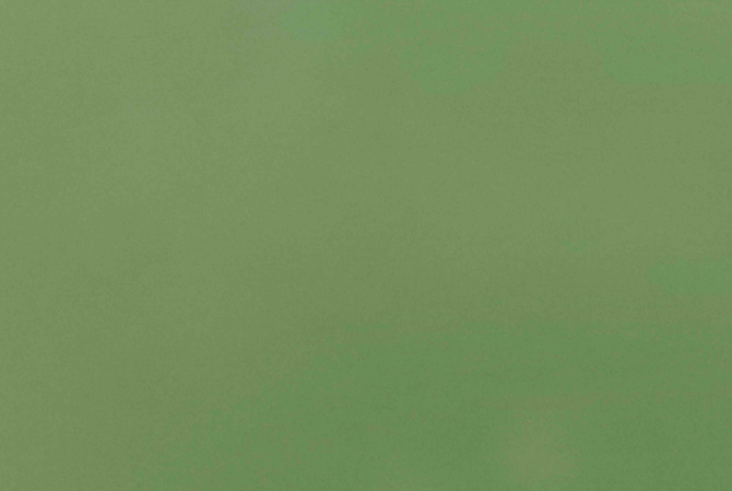 Light Green Matte Powder Coating: Fresh Durability for Modern Spaces